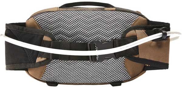 Back View of Hydration Fanny Pack